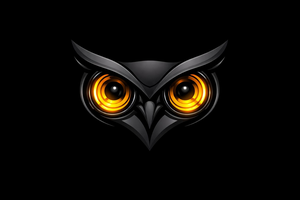 Black Owl Technologies